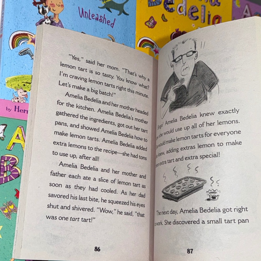 Amelia Bedelia Chapter Book Lot 10 Books Herman Parish Kids Ages 6-10 EUC - Picture 9 of 12
